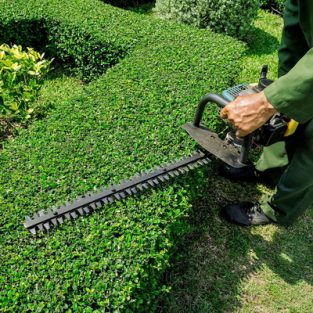 jardinería Bizkaia